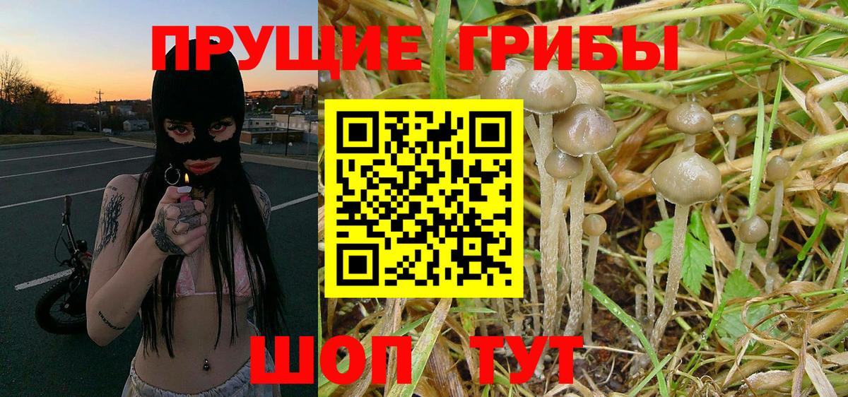 Галлюциногенные грибы Magic Shrooms  Вход с VPN  Уссурийск 